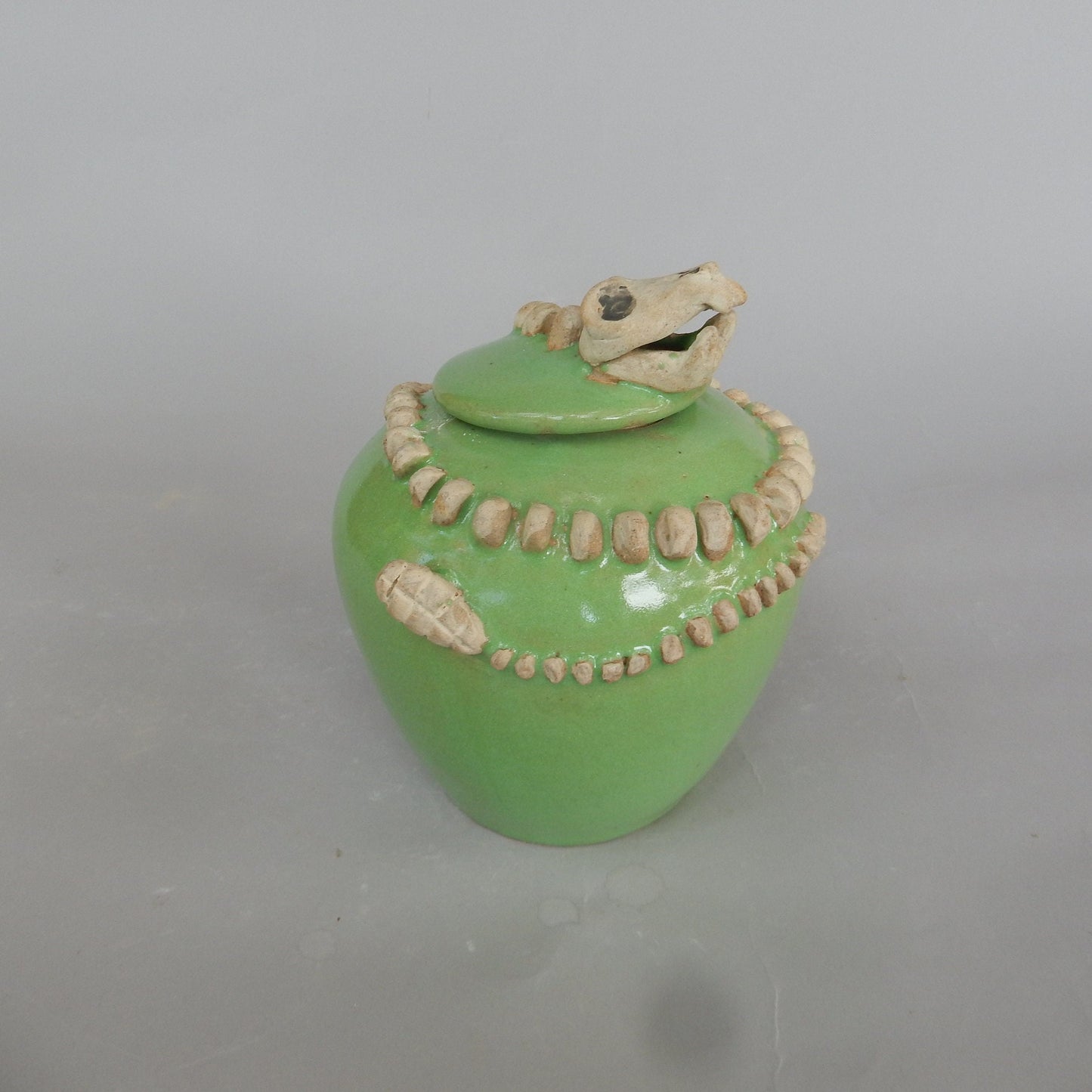Snake Skeleton Urn