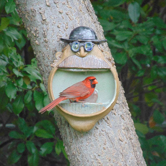 Derby Hat Bird Feeder
